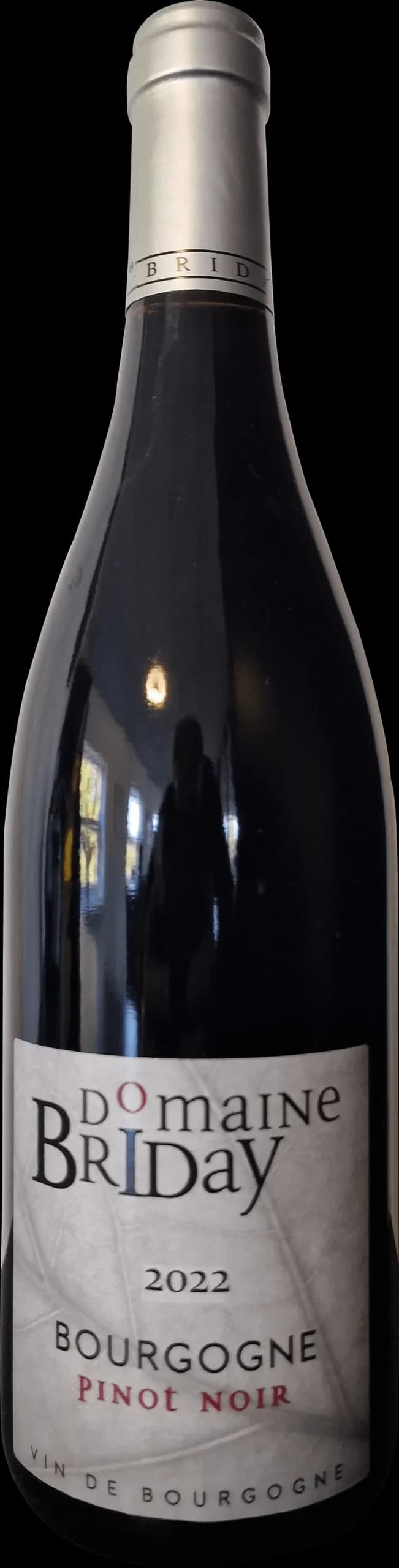 2022 Bourgogne Pinot Noir
